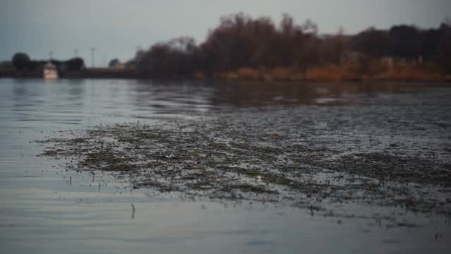 Mongolian Clacker | TSUNAMI LURES